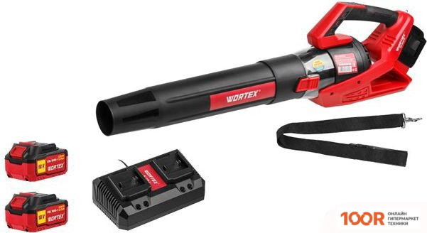 Воздуходувка Wortex BB 2536 D ALL1 1333405 (С 2-МЯ АКБ) (36222)