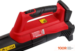 Воздуходувка Wortex BB 2018 D ALL1 (36217)