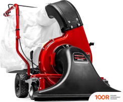 Воздуходувка Weibang WBLV506H V (36214)