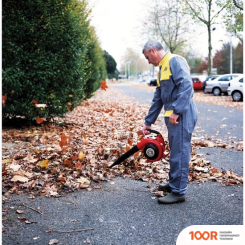 Воздуходувка Honda HHB 25 E (36082)