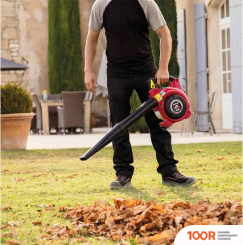 Воздуходувка Honda HHB 25 E (36082)