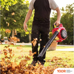 Воздуходувка Honda HHB 25 E (36082)