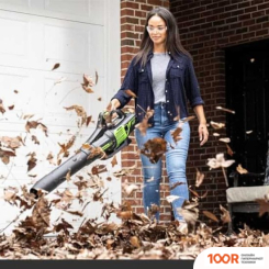 Воздуходувка Greenworks GD60AB 2405607 (БЕЗ АКБ) (36063)