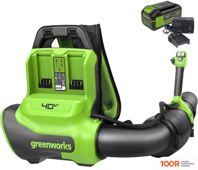 Воздуходувка Greenworks GD40BPG2K4 2408107UB (С 1-ИМ АКБ) (36060)