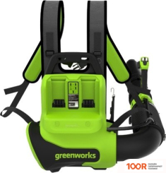 Воздуходувка Greenworks GD40BPG2K4 2408107UB (С 1-ИМ АКБ) (36060)
