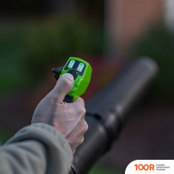 Воздуходувка Greenworks GD40BPG2K4 2408107UB (С 1-ИМ АКБ) (36060)