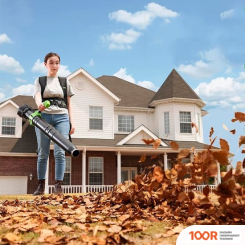 Воздуходувка Greenworks GD40BPG2 2408107 (БЕЗ АКБ) (36059)