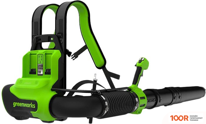 Воздуходувка Greenworks GD40BPG2 2408107 (БЕЗ АКБ) (36059)