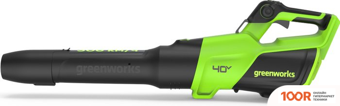 Воздуходувка Greenworks GD40BG3 2408207 (БЕЗ АКБ) (36058)