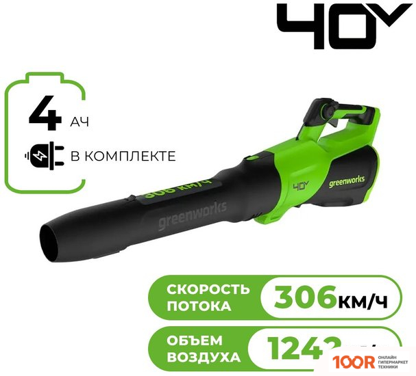 Воздуходувка Greenworks GD40BG3 2408207 (БЕЗ АКБ) (36058)