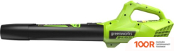 Воздуходувка Greenworks G24AB 2404807 (БЕЗ АКБ) (36055)