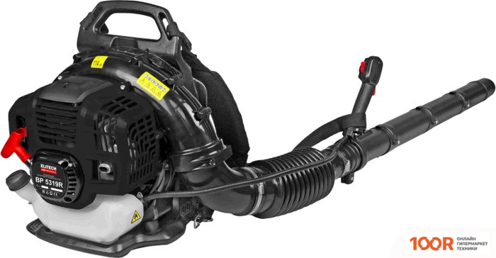 Воздуходувка ELITECH HD BP 5319R (36031)