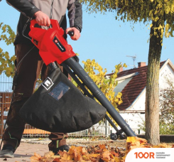 Воздуходувка Einhell GC-EL 3024 E (36020)