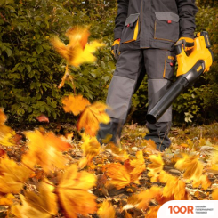 Воздуходувка Denzel RB180-36 59610 (С 2-МЯ АКБ) (35995)