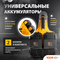 Воздуходувка Denzel RB180-36 59610 (С 2-МЯ АКБ) (35995)