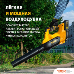 Воздуходувка Denzel RB180-36 59610 (С 2-МЯ АКБ) (35995)