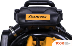 Воздуходувка Champion GBR376 (35949)
