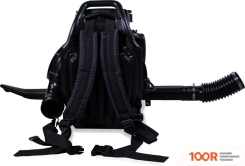 Воздуходувка Champion GBR376 (35949)