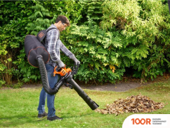 Воздуходувка Black & Decker BEBLV301-QS (35914)