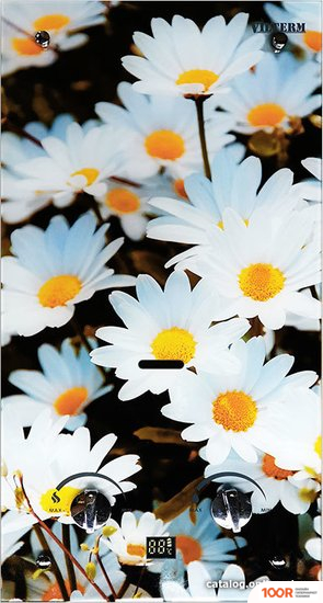 VilTerm S10 GLASS (РОМАШКИ) (35767)