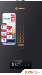 Thermex S 20 MD (ART BLACK) (35610)