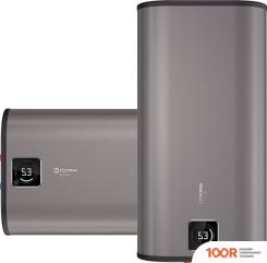 Thermex FORA 50 (35484)