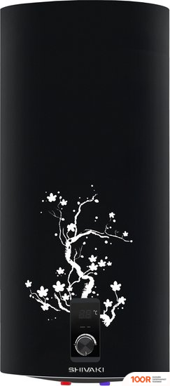 Shivaki SHD WH 2.0 100 (ЧЕРНЫЙ) (35299)