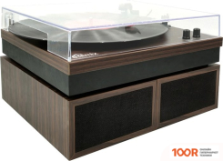 Виниловый проигрыватель Ritmix LP-340B (32119)