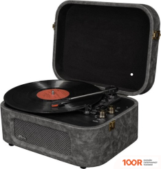 Виниловый проигрыватель Ritmix LP-190B (СЕРЫЙ) (32113)
