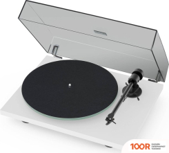 Виниловый проигрыватель Pro-Ject T1 EVO PHONO (БЕЛЫЙ) (32076)