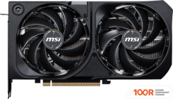 Видеокарта MSI GEFORCE RTX 5070 12G SHADOW 2X OC (30304)