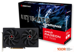 Видеокарта BIOSTAR RADEON RX 7600 8GB GDDR6 VA7606RM81 (28973)