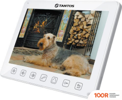 Tantos SHERLOCK HD SE (ЧЕРНЫЙ) (28185)