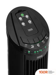 Вентилятор Teesa TSA8032 (27313)