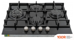 Варочная панель Schaub Lorenz SLK GY6531 (25157)