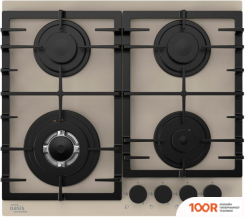 Варочная панель Making Oasis Everywhere P-SDI (24339)