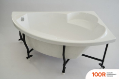 Ванна Radomir АЛАРИ ЛЮКС 168Х120 2-83-2-1-0-218 (С ГИДРОМАССАЖЕМ, ЛЕВЫЙ) (19826)