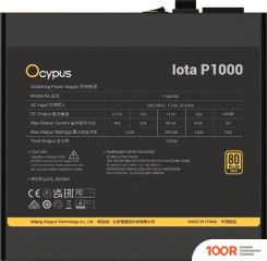 Блок питания Ocypus IOTA P1000 IOTA-P1000-G1FFBK024X-EU (17448)