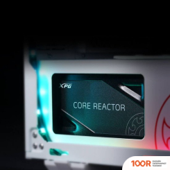 Блок питания ADATA XPG CORE REACTOR 850W 80+ COREREACTOR850G-BKCEU (16487)