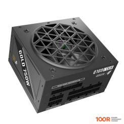Блок питания 1stPlayer NGDP GOLD 750W HA-750BA4 (16424)