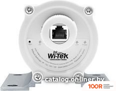 Wi-Tek WI-CPE521 (13690)