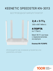 Wi-Fi роутер Keenetic SPEEDSTER KN-3013 (13123)