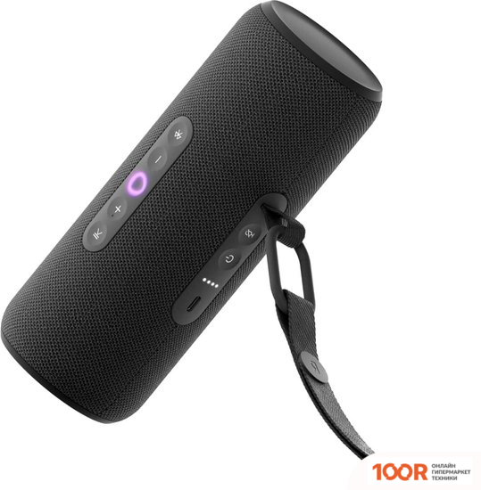 Беспроводная колонка Яндекс СТАНЦИЯ СТРИТ (ЧЕРНЫЙ) (12848)