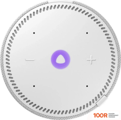 Беспроводная колонка Яндекс СТАНЦИЯ МИНИ 2 БЕЗ ЧАСОВ (СЕРЫЙ ОПАЛ) (12836)
