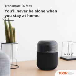 Беспроводная колонка Tronsmart T6 MAX (12622)