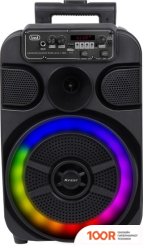 Беспроводная колонка Trevi XF 460 (12591)