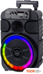 Беспроводная колонка Trevi XF 460 (12591)