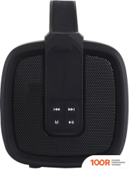 Беспроводная колонка TELEFUNKEN TF-PS1241B MUSIC HOLIDAY (12522)