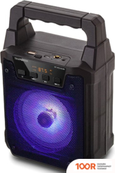 Беспроводная колонка TELEFUNKEN TF-PS1229B (12511)