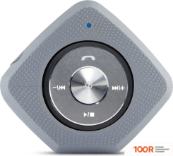 Беспроводная колонка Technisat BLUSPEAKER OD 300 (12496)